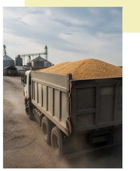 Перевозка сельхозпродукции навалом в Батайск по цене от 3036 р. | Агросервис-Бтс